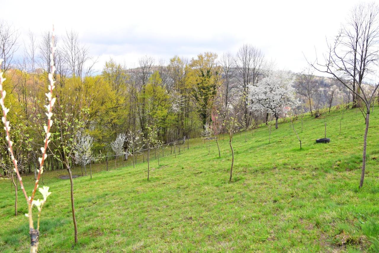 La Salasul Fermecat In Cheile Carasului Iabalcea Exterior foto