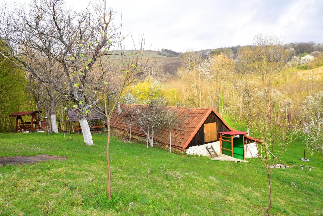 La Salasul Fermecat In Cheile Carasului Iabalcea Exterior foto