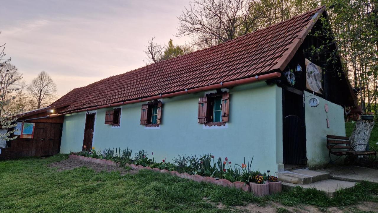 La Salasul Fermecat In Cheile Carasului Iabalcea Exterior foto